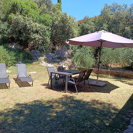 Appartement Garden à Pjescana Uvala Extérieur photo